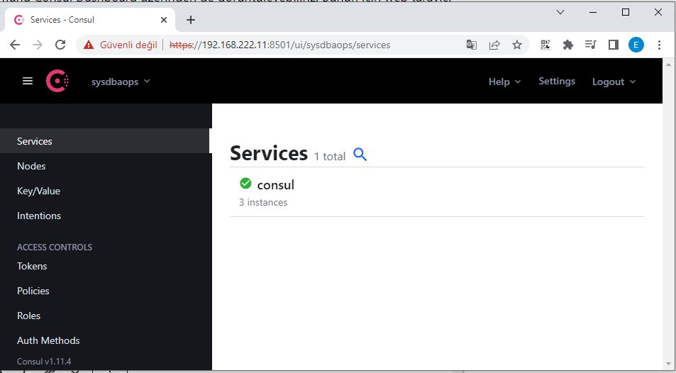 Consul Servisler Ekranı