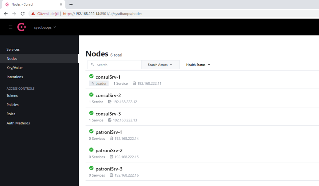 Consul Client Dashboard-2